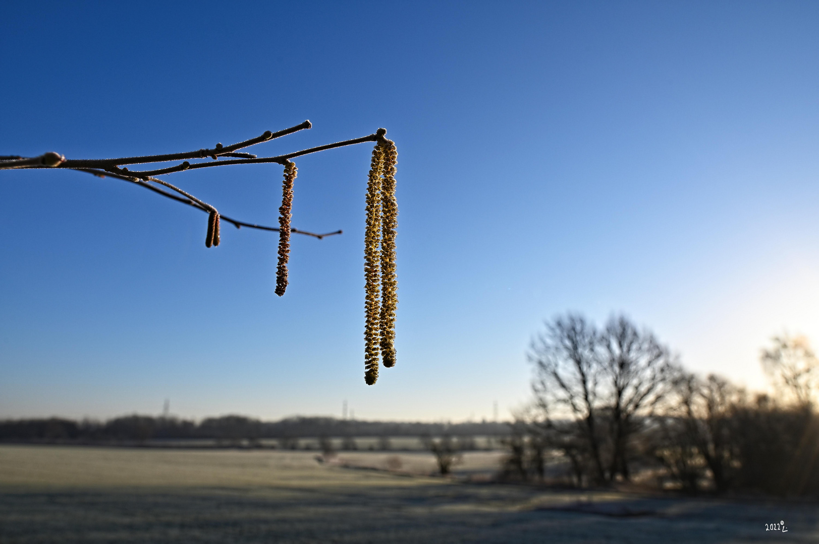 ruhiger Morgen