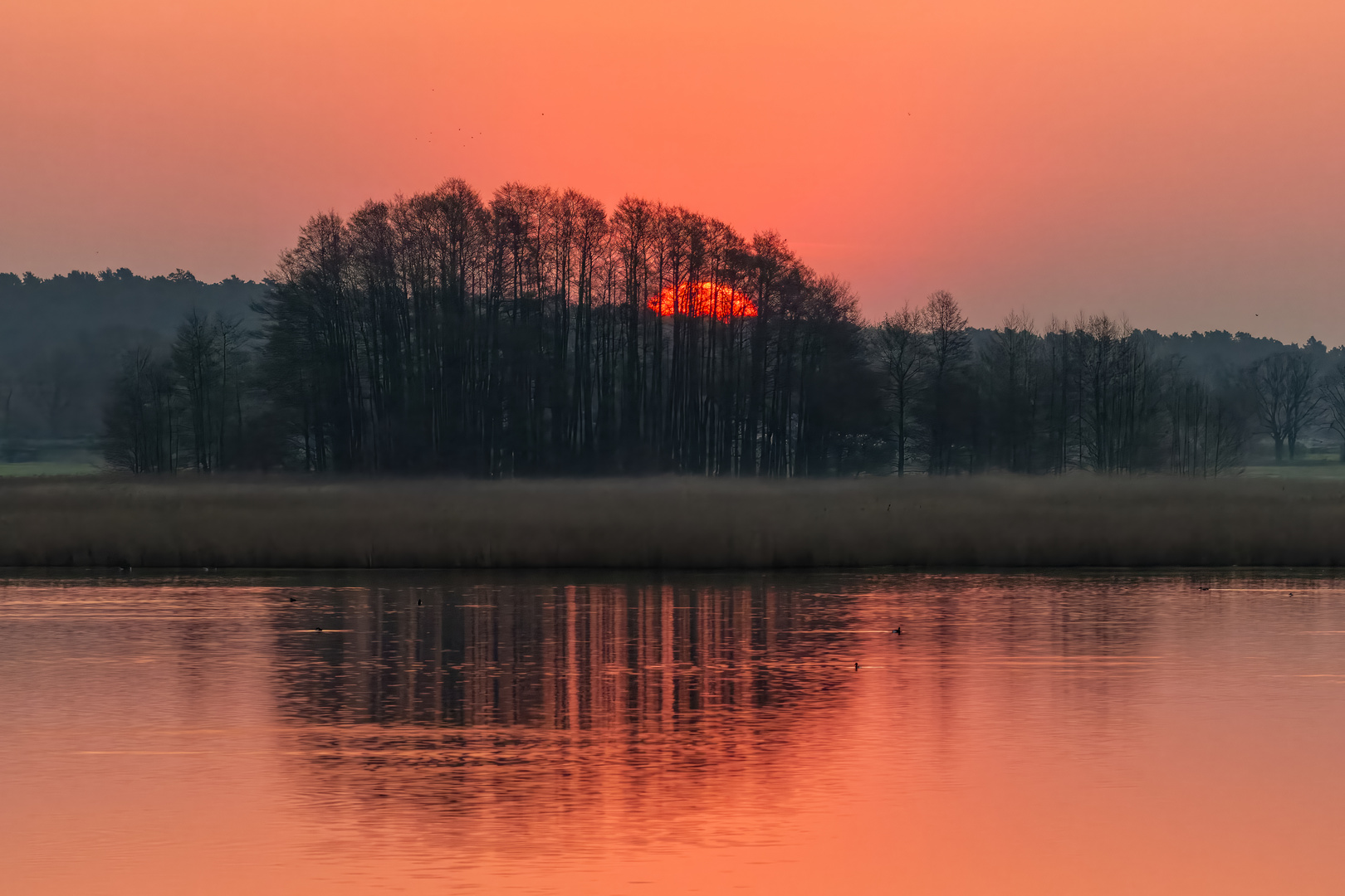 ruhiger Morgen am Streng          