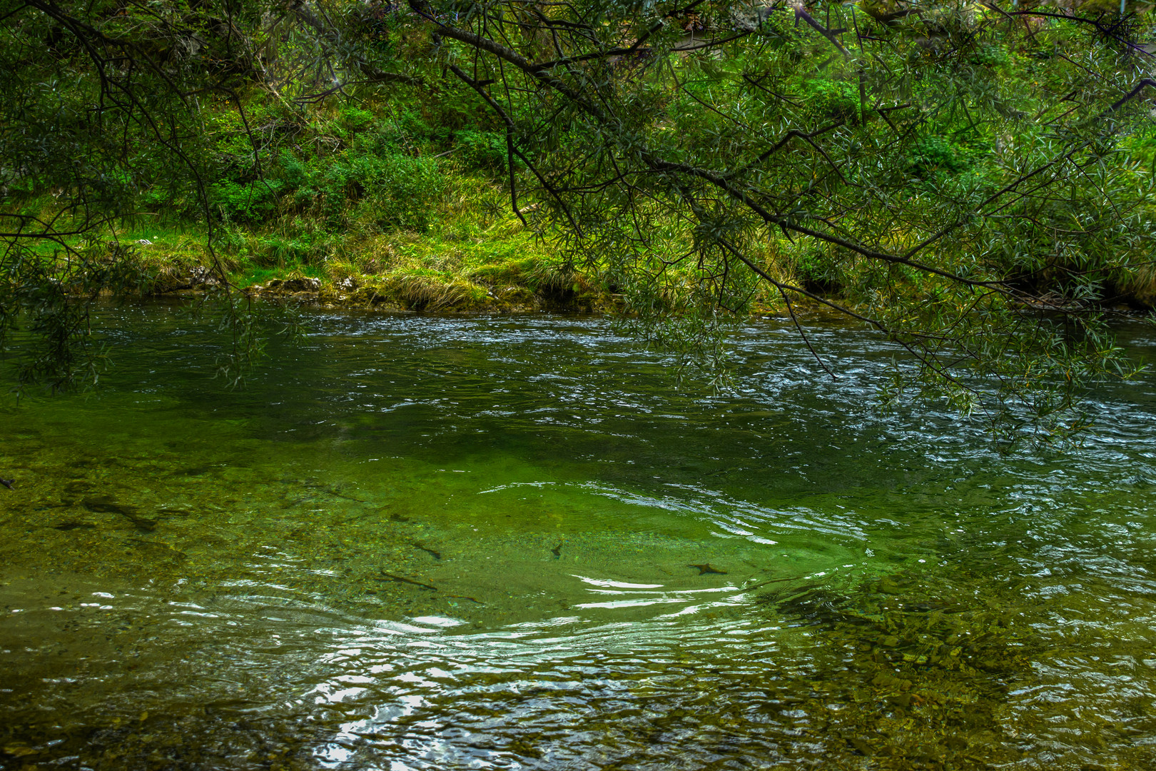 ruhiger Platz an der Schwarza/Höllental, Niederösterreich