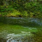 ruhiger Platz an der Schwarza/Höllental, Niederösterreich