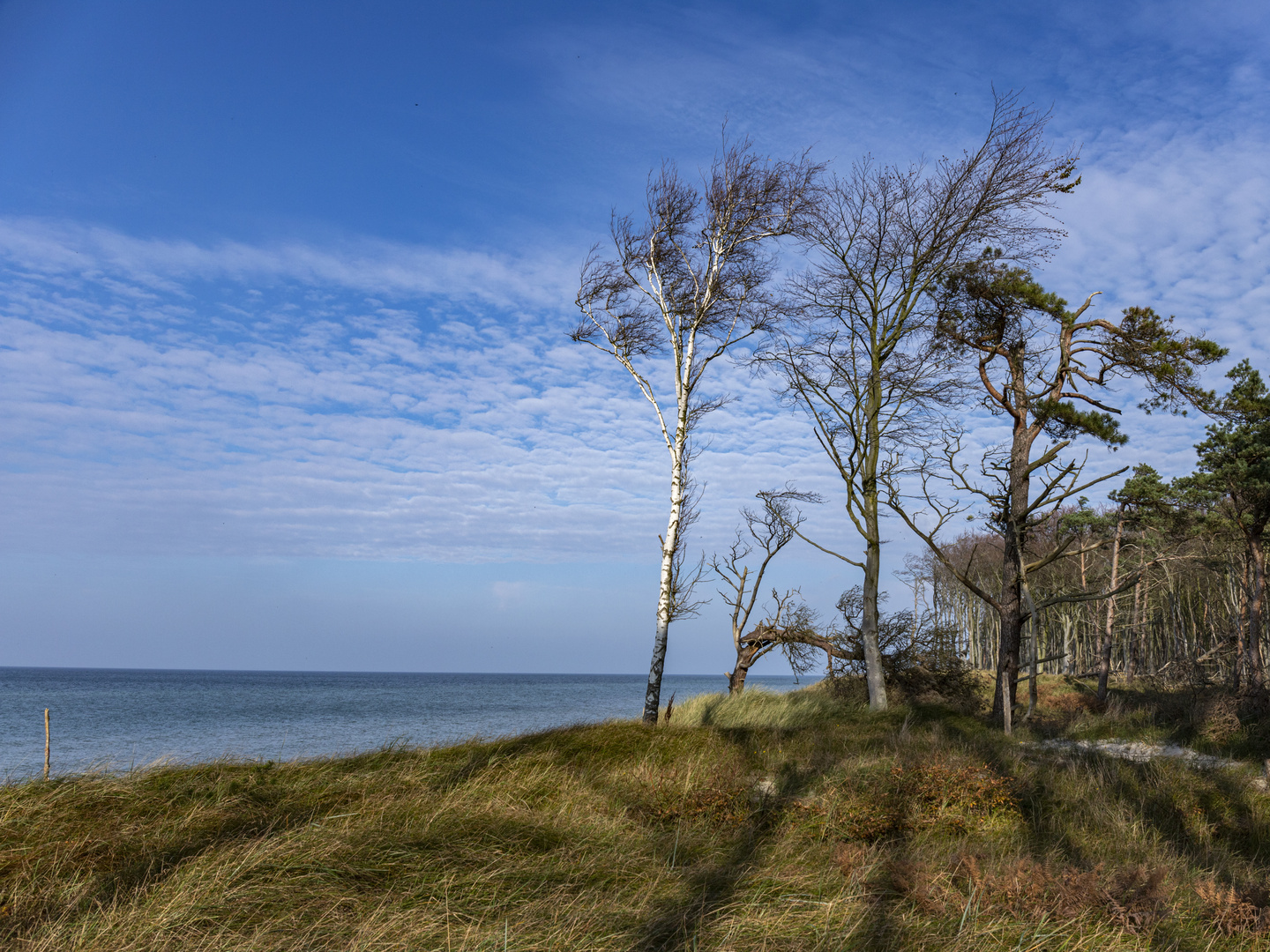 ruhiger Tag am Darßer Weststrand