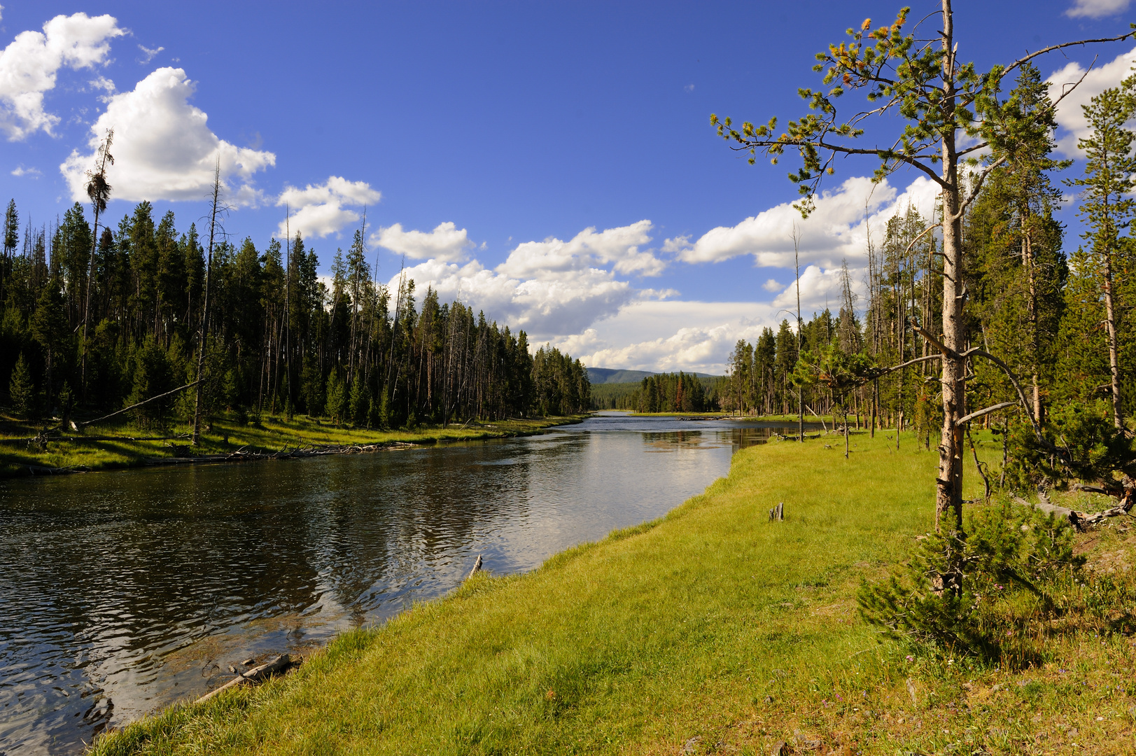 Ruhiger Yellowstone River