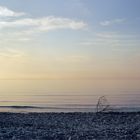 ruhiges Abendmeer mit kleinem kahlen  Ast