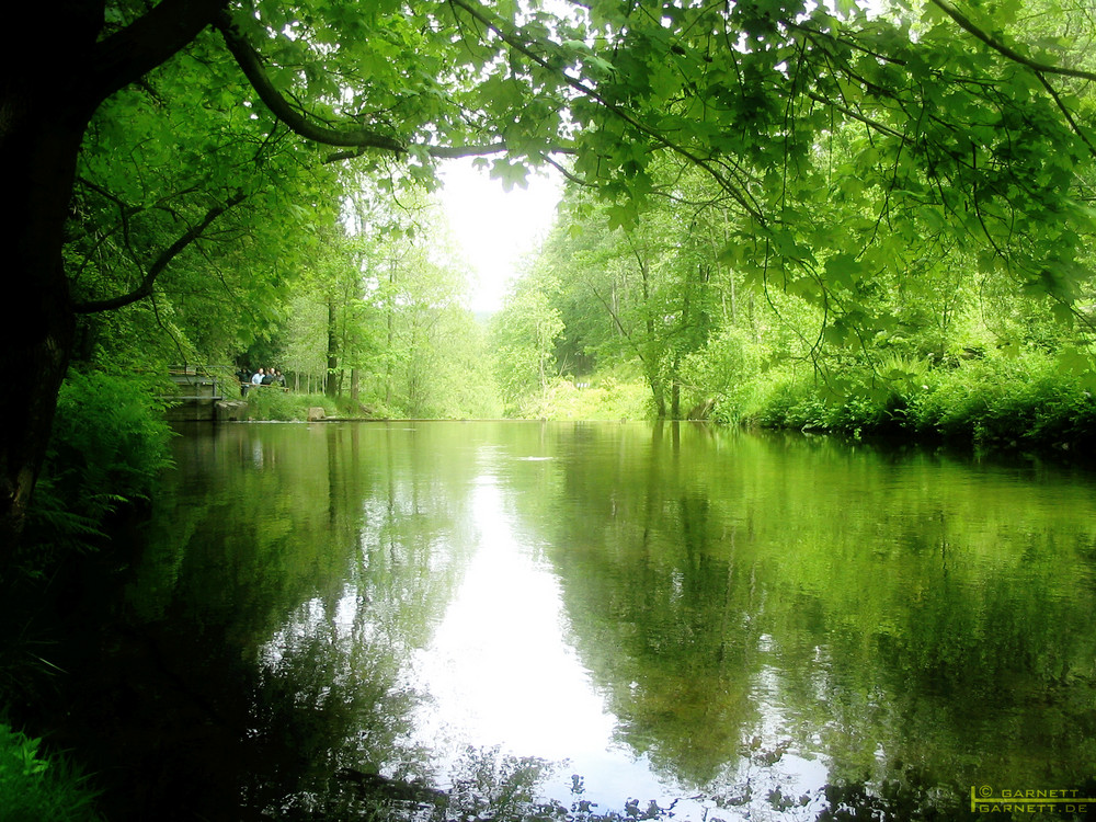 Ruhiges Gewässer Foto & Bild | landschaft, bach, fluss & see, natur