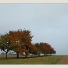 Ruhiges Herbstwetter...