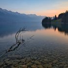 Ruhiges Morgenrot am Brienzersee