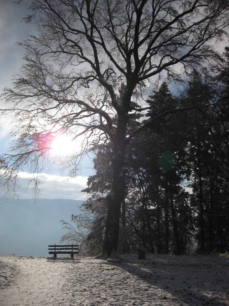 ruhiges Plätzchen im Schnee