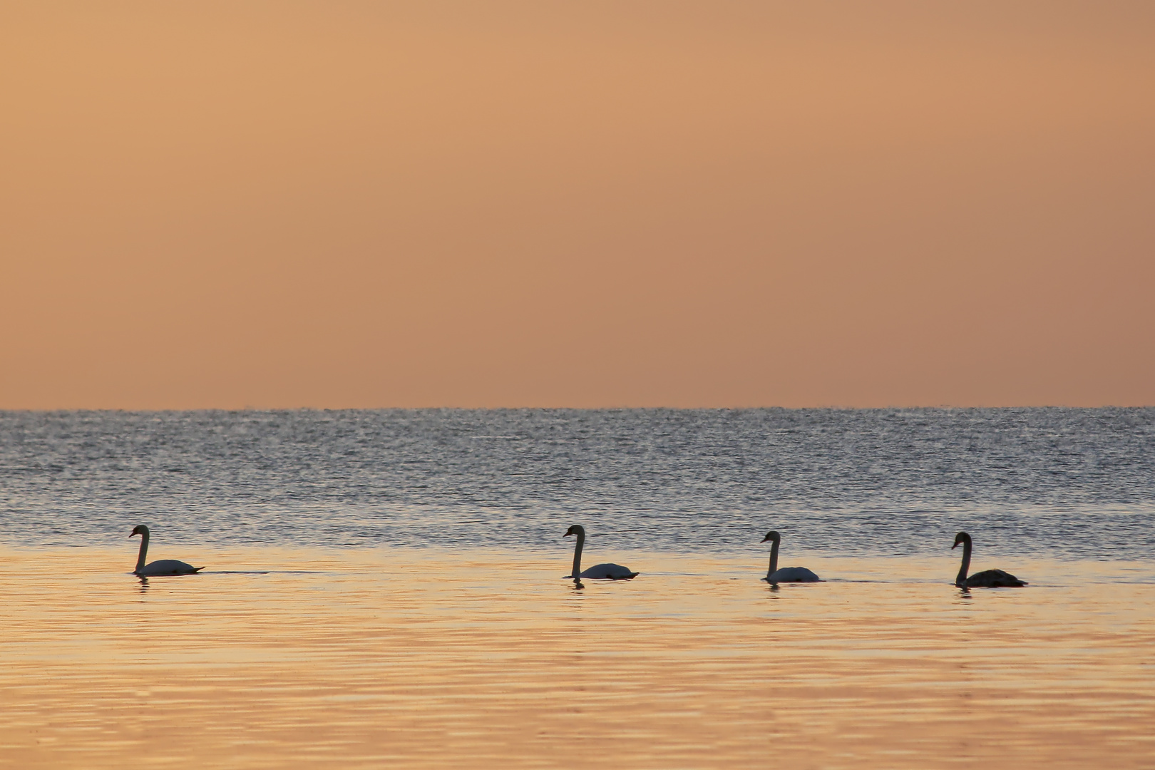 ruhiges Wasser  -  calm water