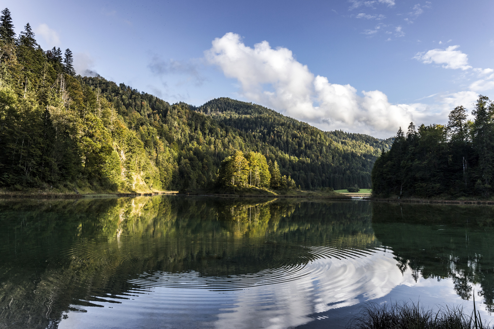 ruhiges Wasser im Weitsee