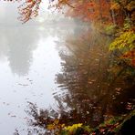 "Ruhiges Wasser - Leicht bewegt"