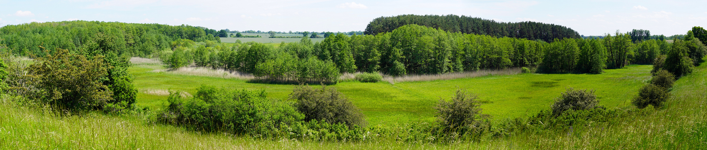 Ruhlsdorfer Bruch: Blick von der NW-Flanke auf die Orchideenwiesen