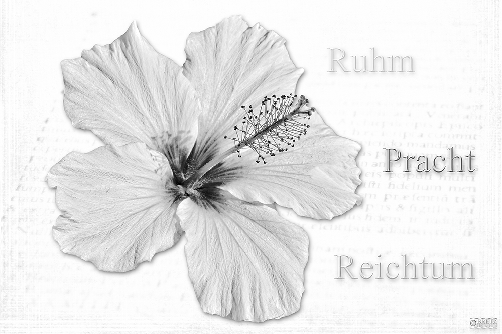 Ruhm Pracht Reichtum