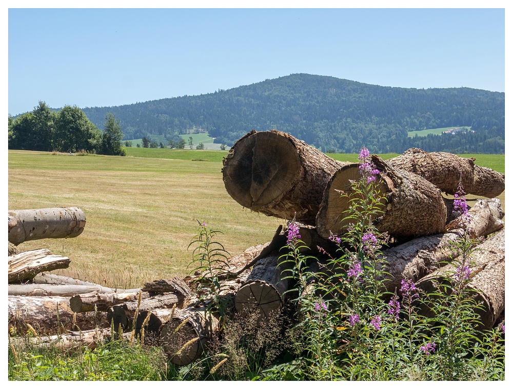 Ruhmannsberg