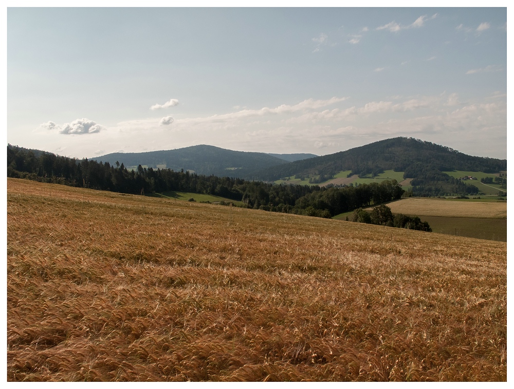 Ruhmannsberg und Staffelberg