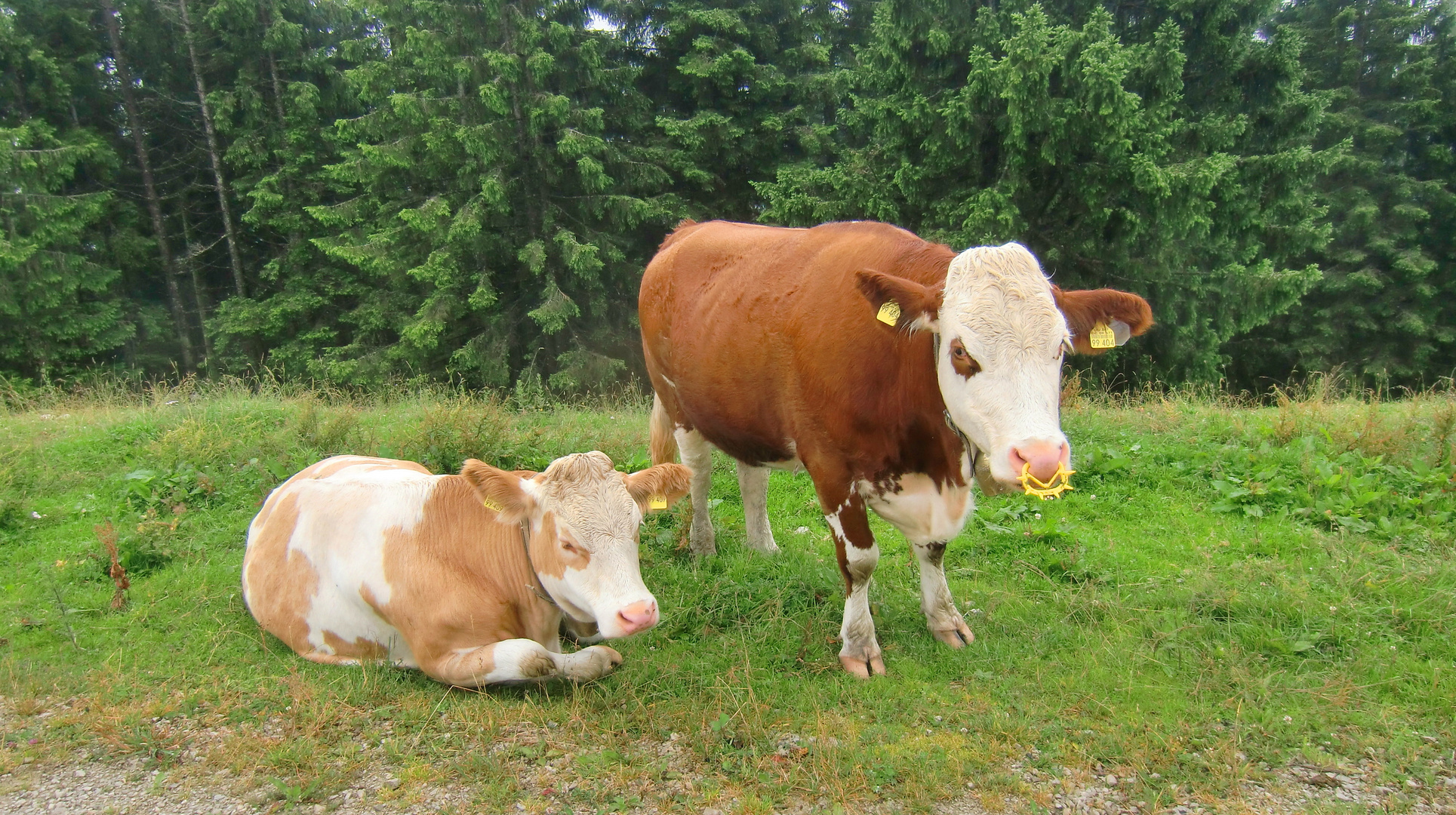 Ruhpolding