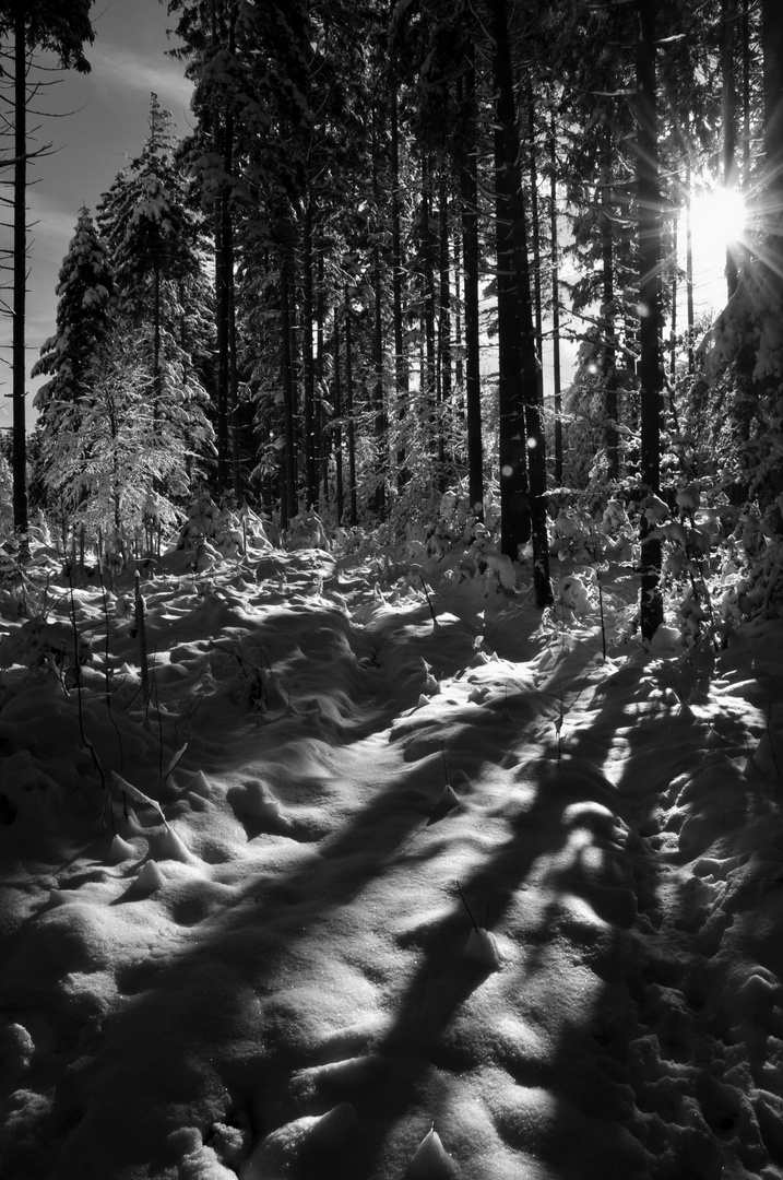 Ruhpolding im Januar 2010