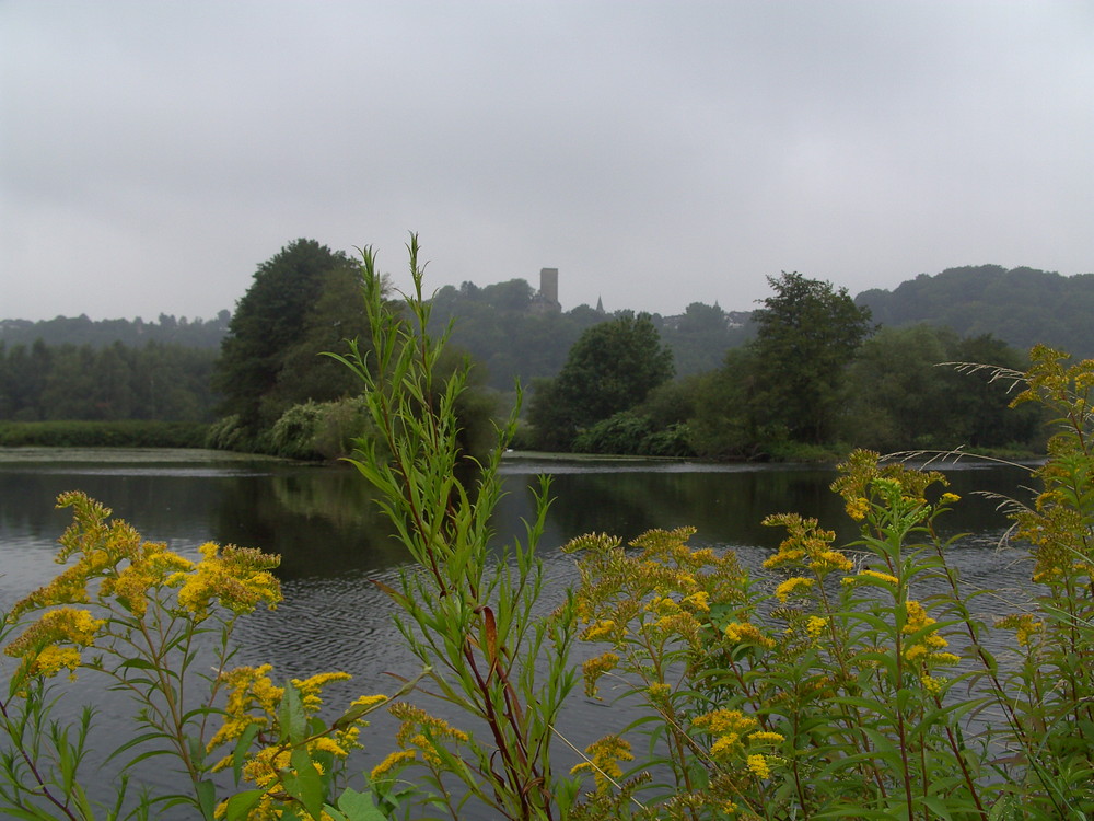 Ruhr mit Blick auf Burg Blankenstein, Bochum-Stiepel