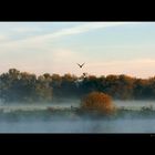 Ruhr Panorama