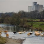 Ruhr River Canyon