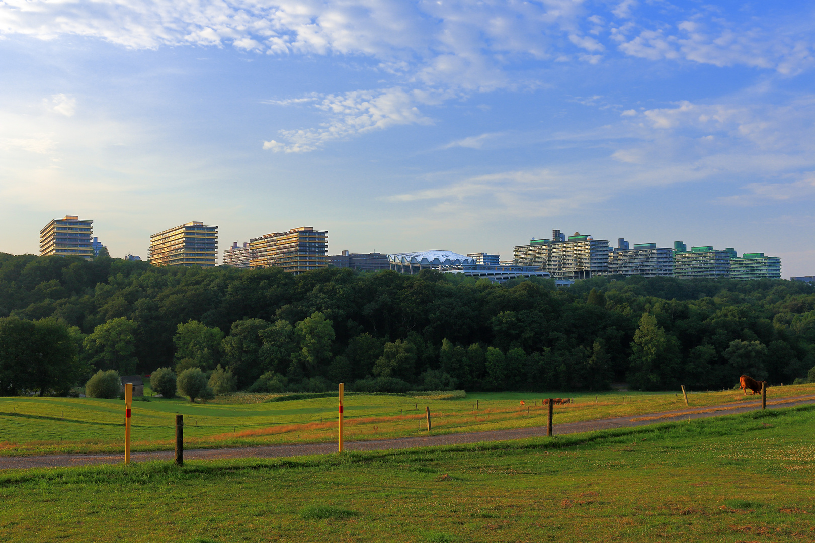 Ruhr-Universität Bochum