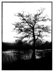 Ruhr Valley In Winter Time