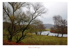 Ruhraue bei Hattingen