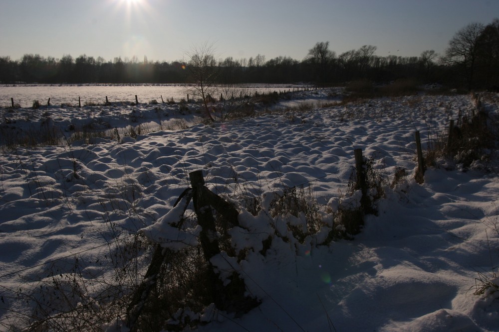 Ruhrauen im Winter