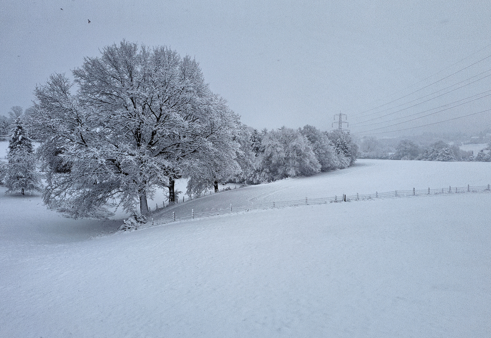 Ruhrgebiet - Winterlandschaft