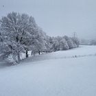 Ruhrgebiet - Winterlandschaft