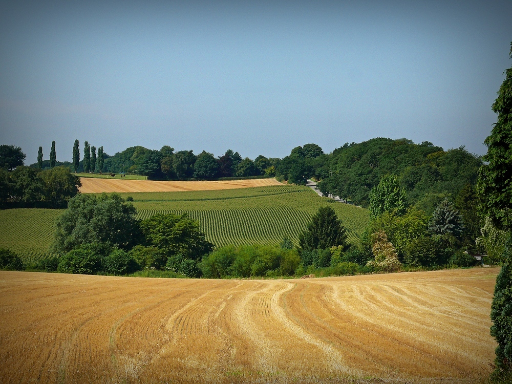 Ruhrgebietslandschaft(3)