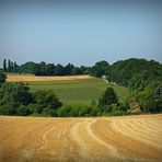 Ruhrgebietslandschaft(3)