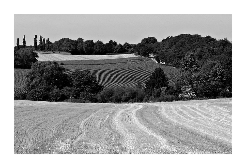 Ruhrgebietslandschaft(5)