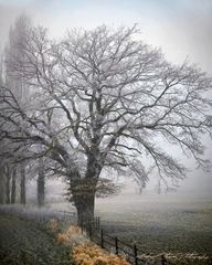 Ruhrgebietsnebel III