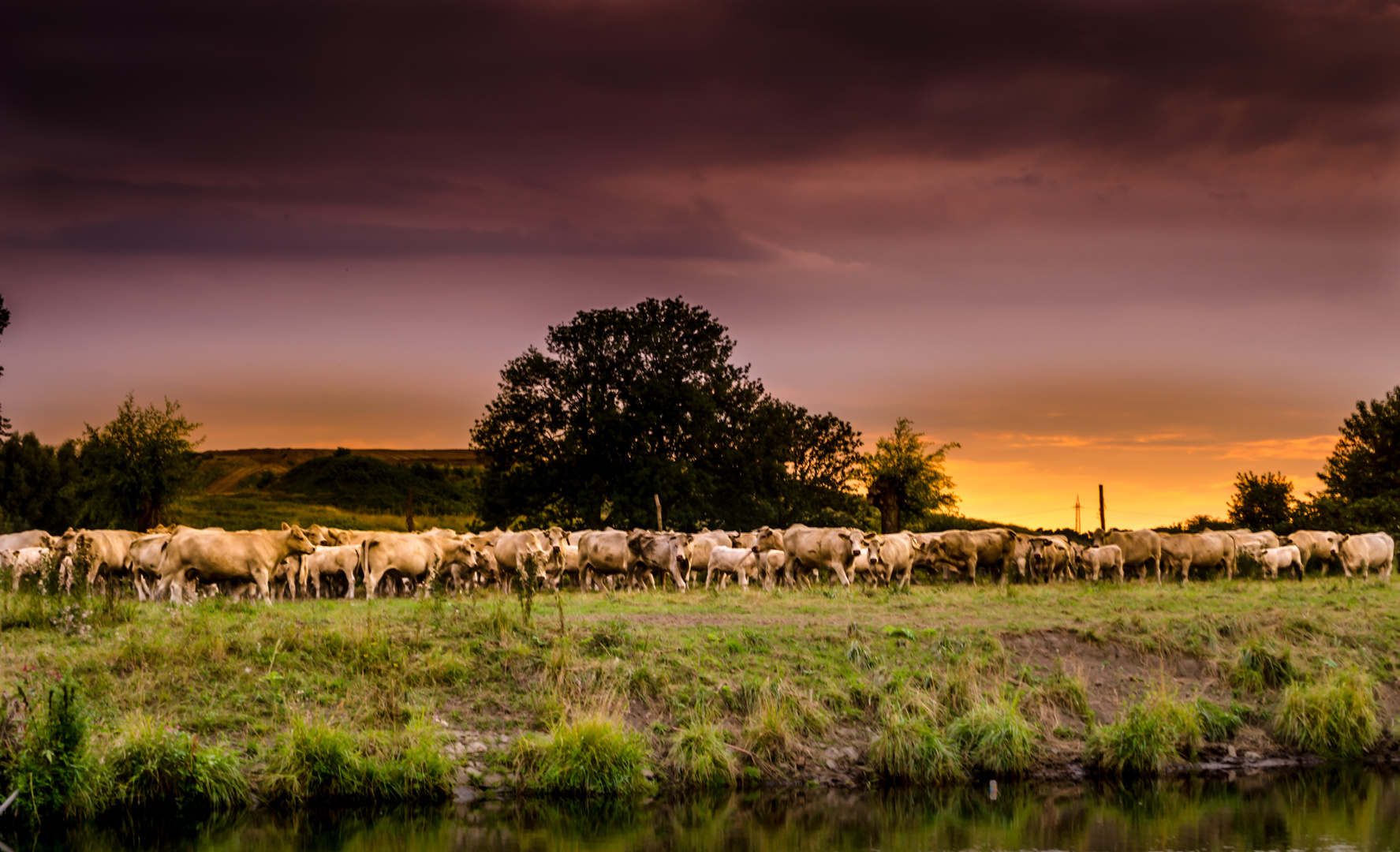 Ruhrlandschaft II