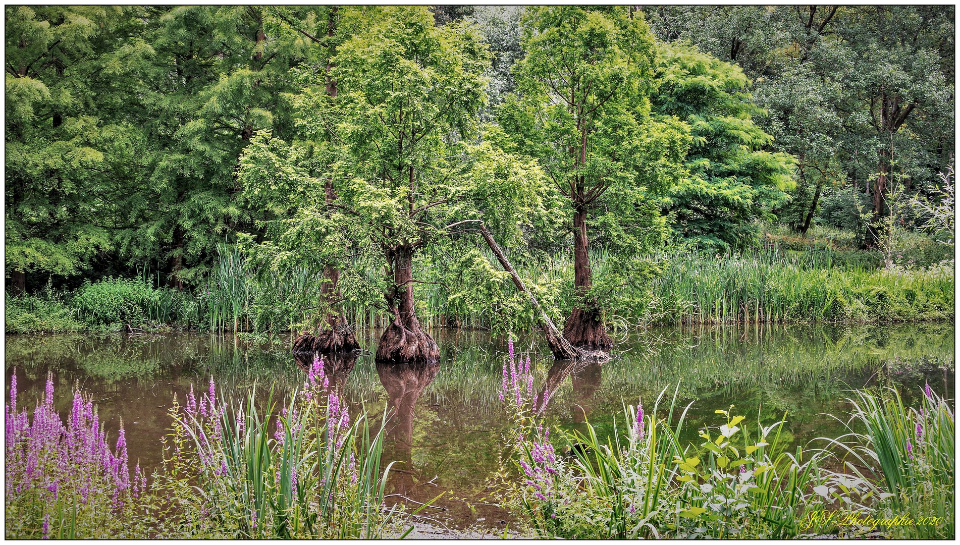 Ruhrpott-Idyll