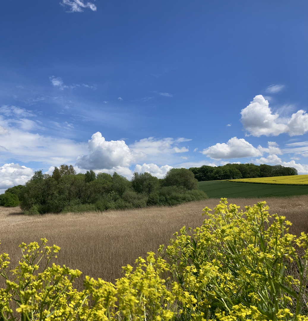 Ruhrpottfrühling