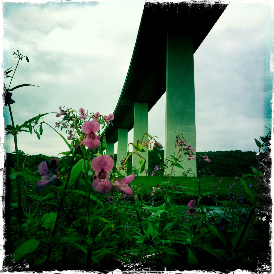 Ruhrtalbrücke, Essen 2011