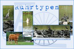 Ruhrtypen