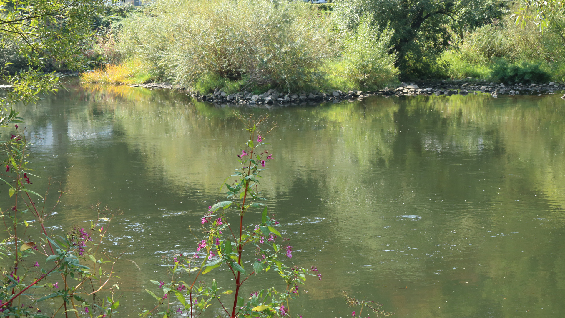 Ruhrufer  bei Hattingen