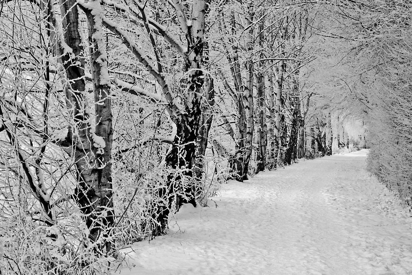 Ruhrwanderweg im Winter....