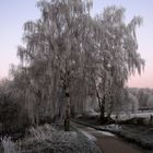 ruhrwiesen im Winter-2