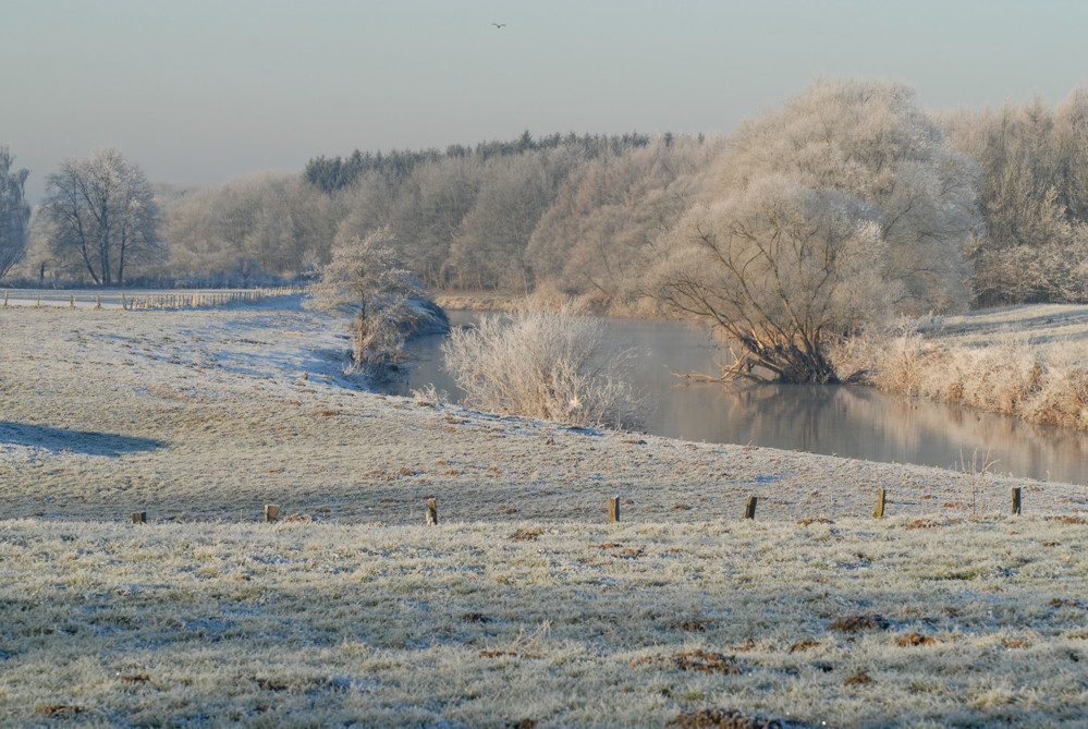 Ruhrwiesen im Winter