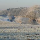 Ruhrwiesen im Winter