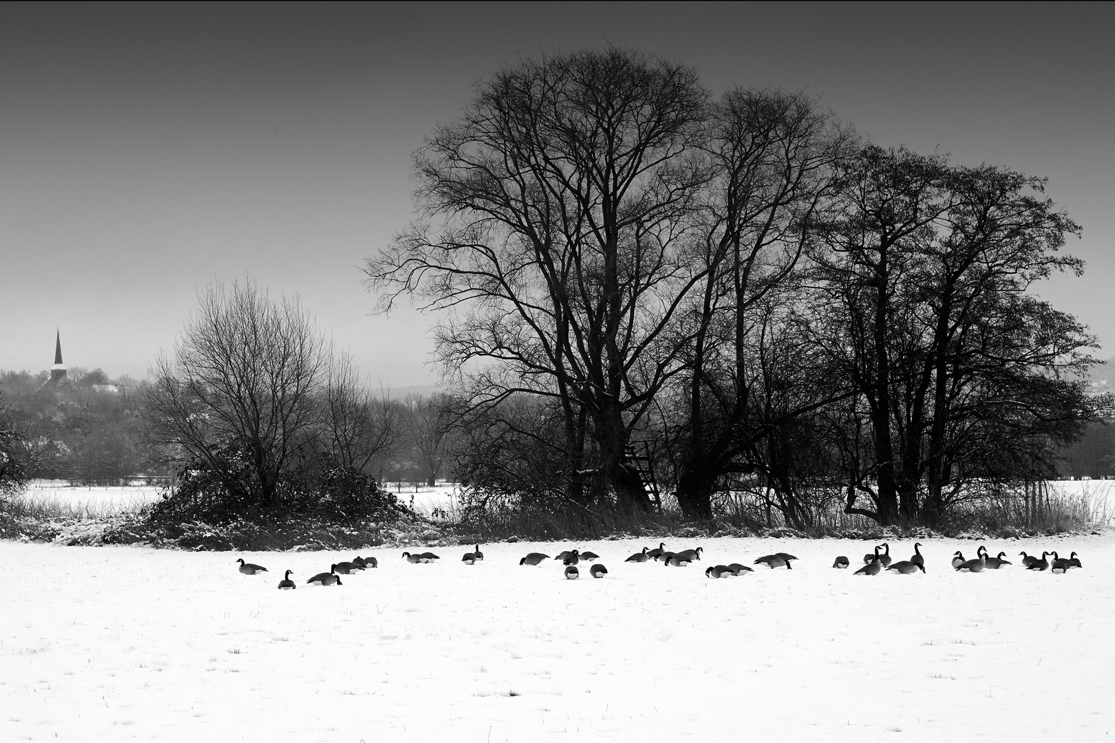 Ruhrwiesen im Winter