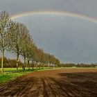 Ruhrwiesen Regenbogen....