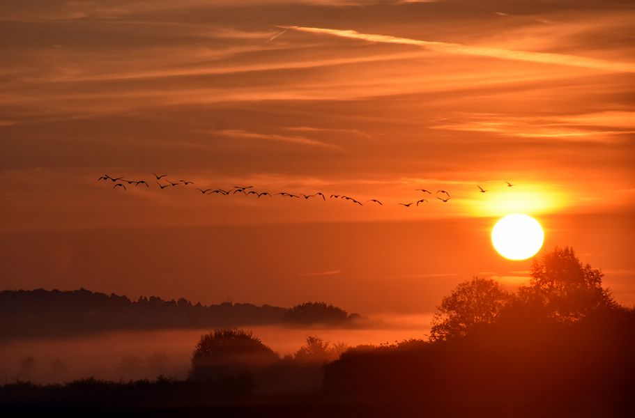 Ruhrwiesen Sonnenaufgang am frühen Morgen....