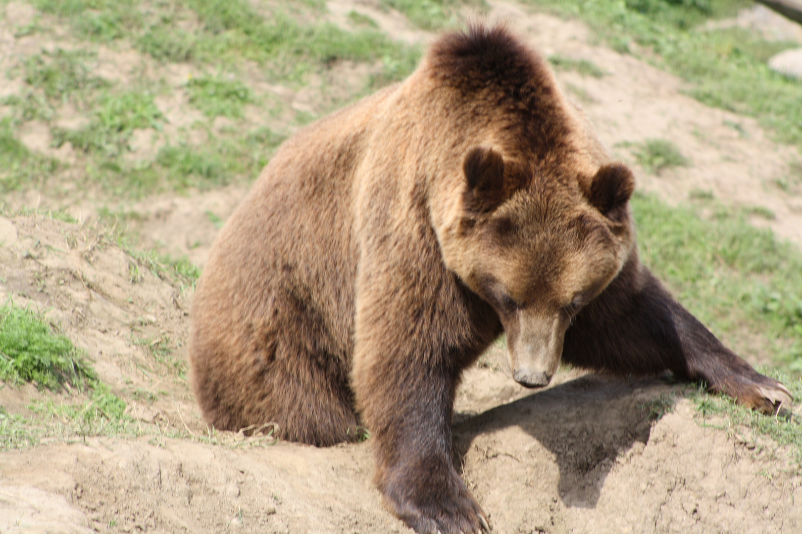 Ruhrzoo Gelsenkirchen