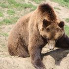 Ruhrzoo Gelsenkirchen