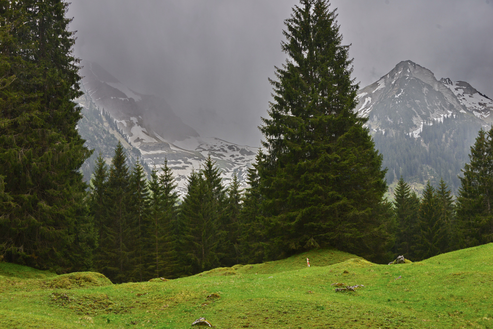 Ruhwald Voralp