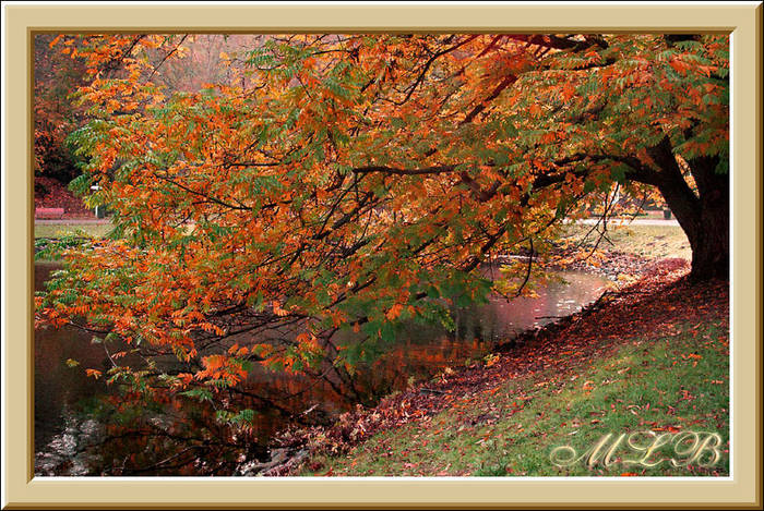 Ruigkeit im Deutsche-Franzosischem Garten